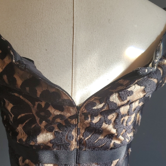 Tadashi Shoji Banded Lace  Black and Tan Maxi Gown with Flutter Cap Slee… - Picture 11 of 12